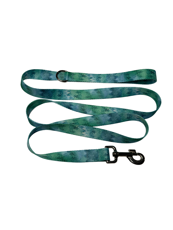 Foggy Morning Leash
