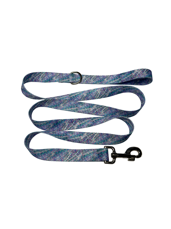Pastel Storm Leash