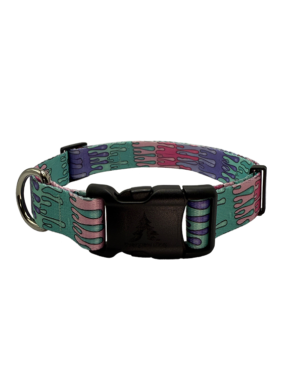 Picture of Playful Drips Collar – Evergreen Dog LLC