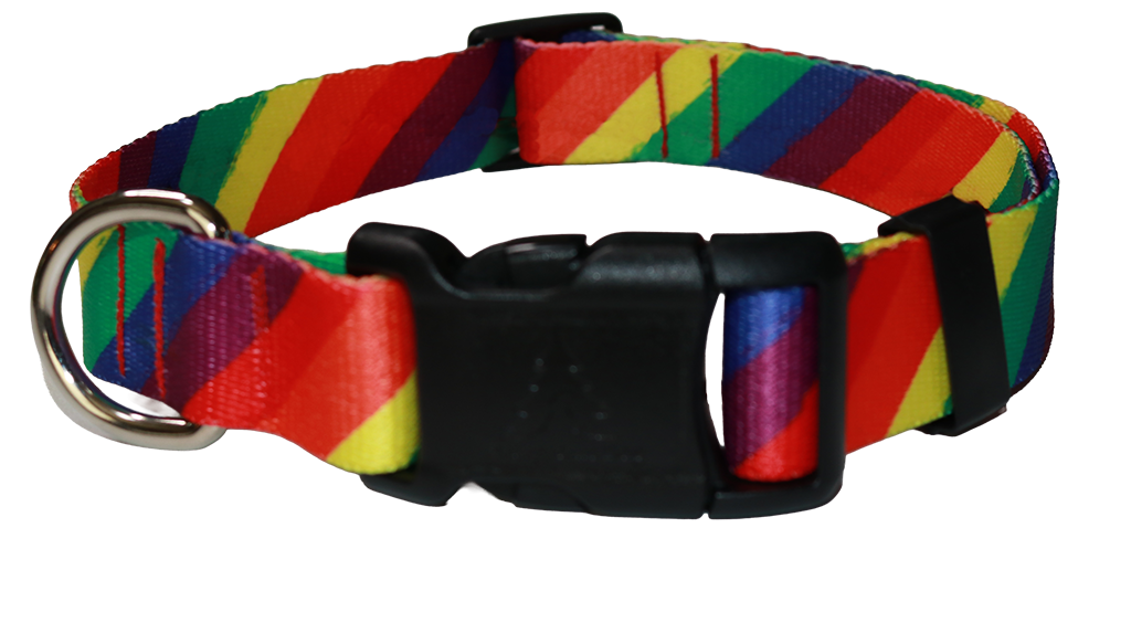 Pride Rainbow Collar