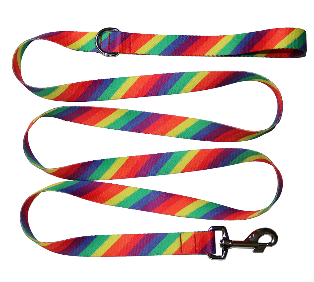 Pride Rainbow Leash