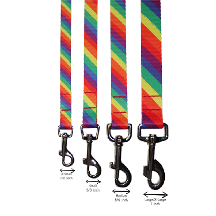 Pride Rainbow Leash