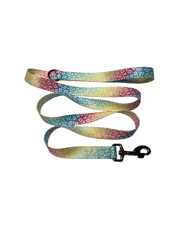 Rainbow Leopard Leash