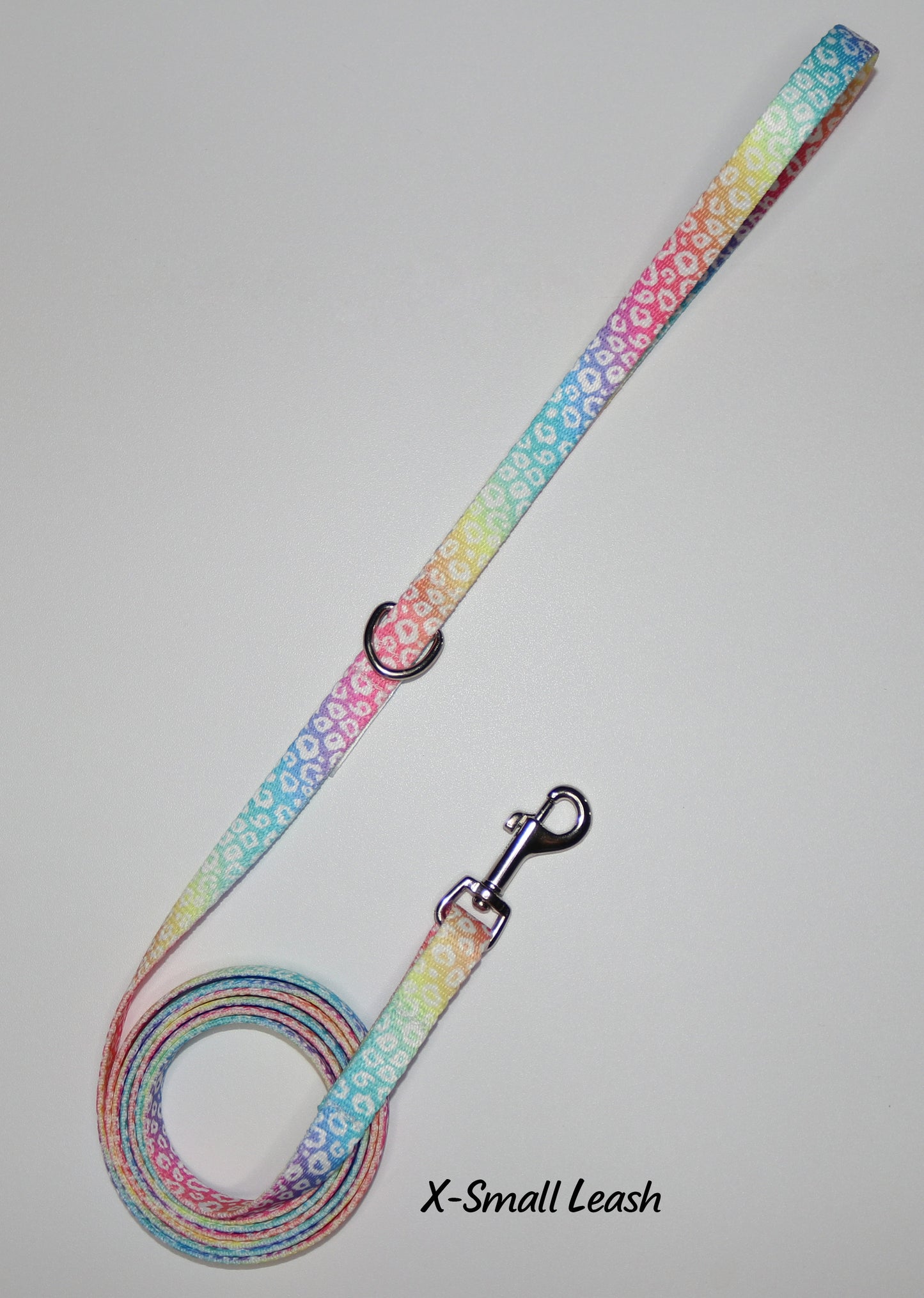 Rainbow Leopard Leash