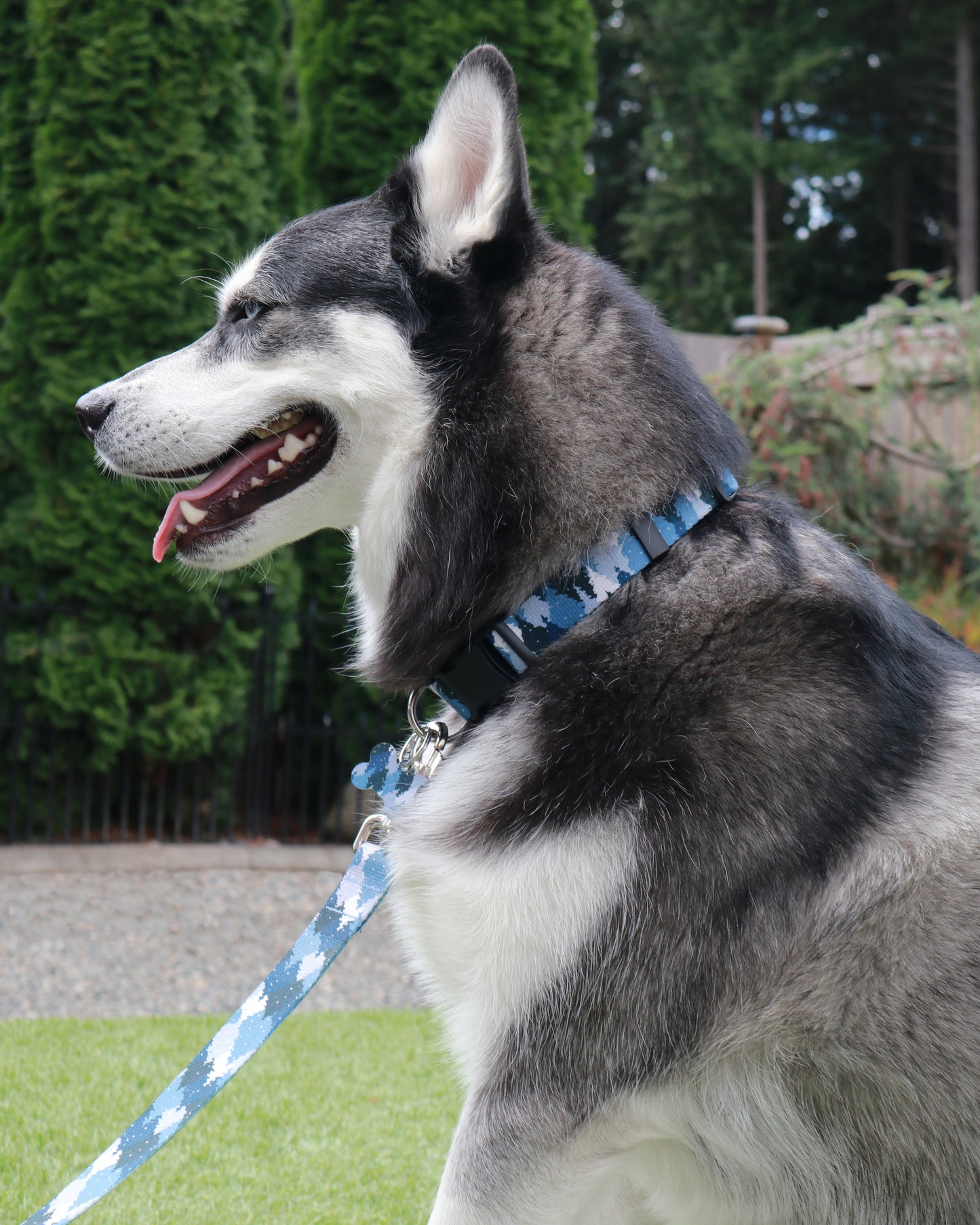 Blue Camo Trees Leash