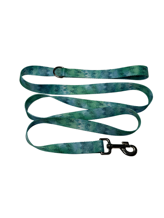 Foggy Morning Leash