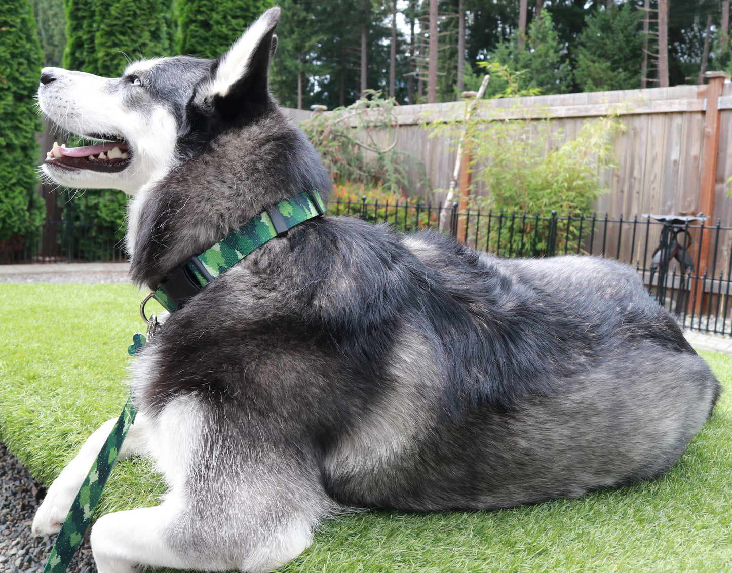 Green Camo Trees Leash