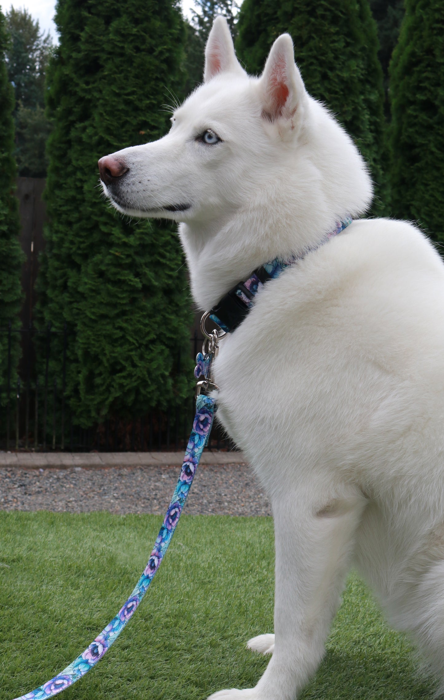 Peony Fantasy Leash