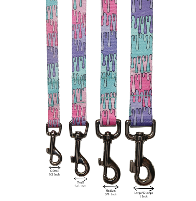 Playful Drips Leash