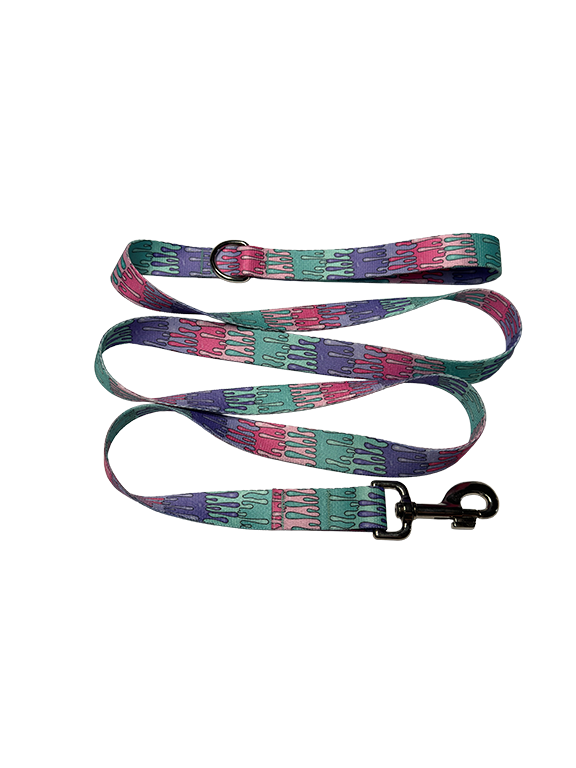 Playful Drips Leash