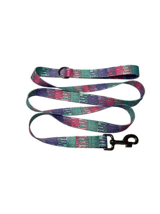 Playful Drips Leash