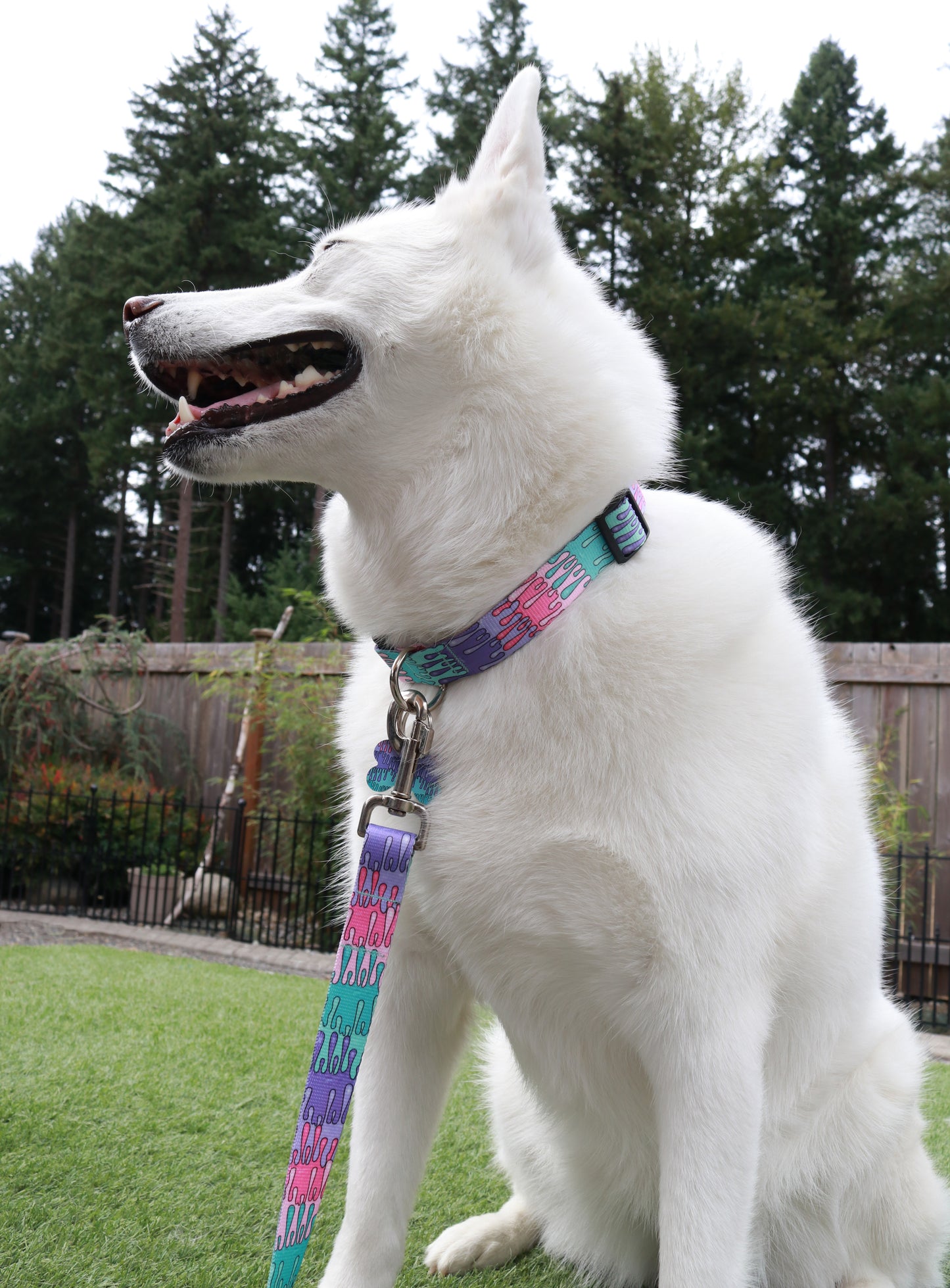Playful Drips Collar