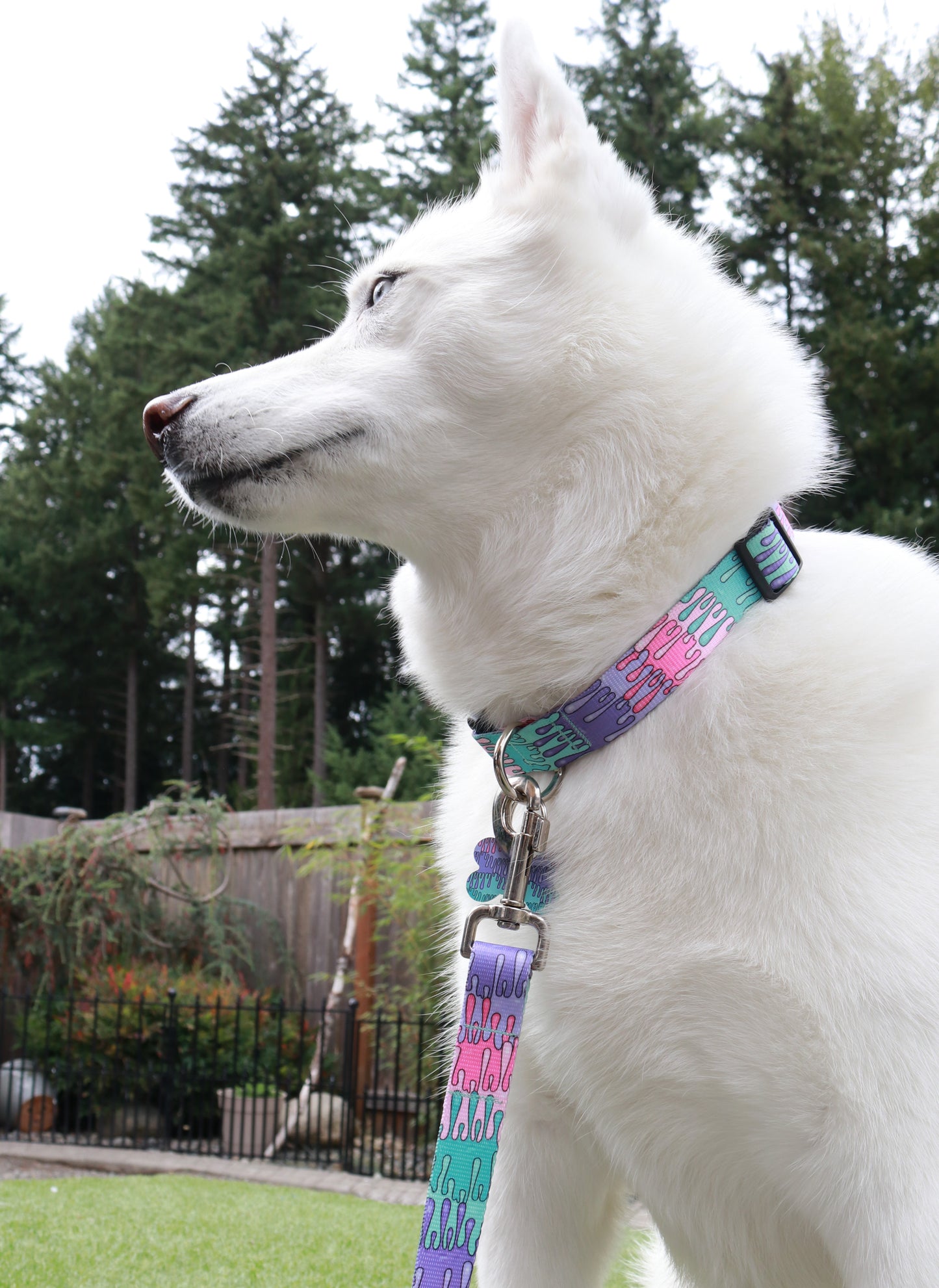 Playful Drips Collar