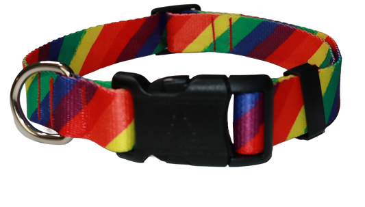 Pride Rainbow Collar