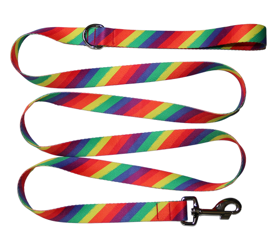 Pride Rainbow Leash