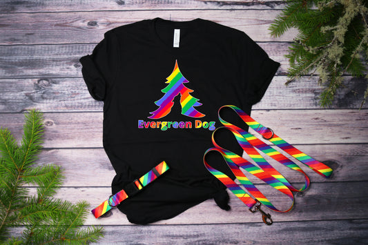 Pride Rainbow T-Shirt