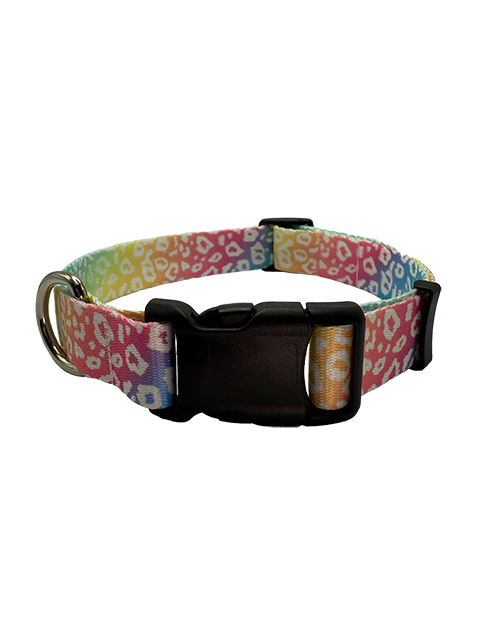 Rainbow Leopard Collar