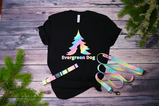 Rainbow Leopard T-Shirt