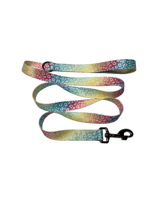 Rainbow Leopard Leash