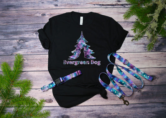 Twilight Galaxy T-Shirt